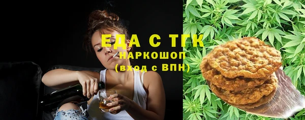 СК Строитель