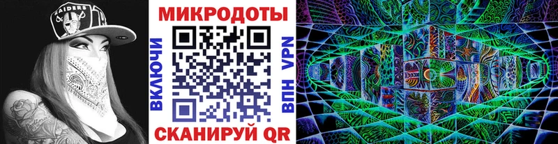 Псилоцибиновые грибы MAGIC MUSHROOMS Галич